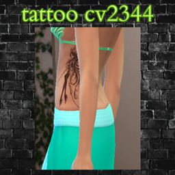 tattoo cv2344 project image