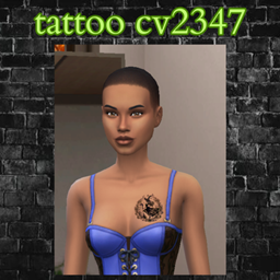 tattoo cv2347 project image