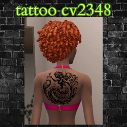 tattoo cv2348 project image