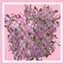 Better Folliage plus logo
