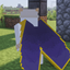 Fake Donutsmp Elytra logo
