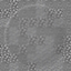 LiquidGlassMC logo