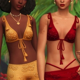 Isla Bikini Top project image
