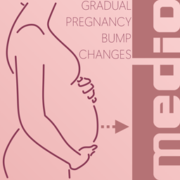 Gradual Pregnancy Bump Changes logo