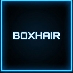 Boxhair project image