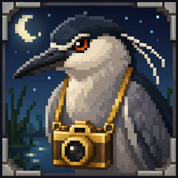 Bird Watching - Community Ports project image