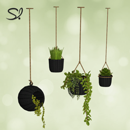 Naturalis Hanging Plants Recolor Black 🌿 project image