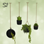Naturalis Hanging Plants Recolor Black 🌿 logo