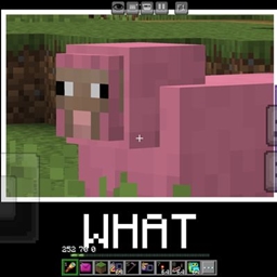 WHAT Spyglass MEME project image