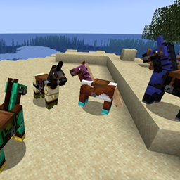 New Horse Equipment project image