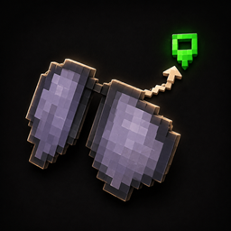 Elytra Cruise