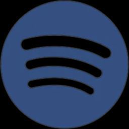Spotify Custom Music Player project image