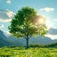 Albero pack | fps boost | fps optimizer logo