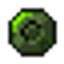 Nature's Focus logo