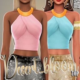 Desert Bloom Top project image