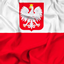 Polish logo