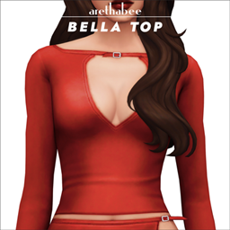 Bella Top - ArethaBee project image