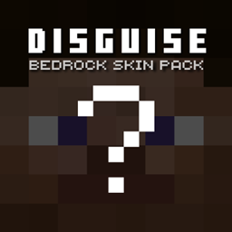 disguise project image