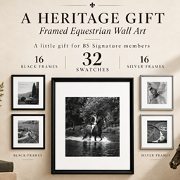 Heritage Gallery Frames – Luxury Wall Art project image