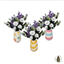 Dopamine Vases logo
