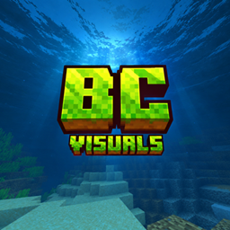 BC Visual project image