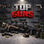 Top Guns logo