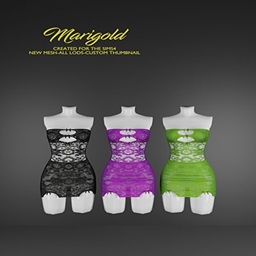MARIGOLD TS4_LISA project image