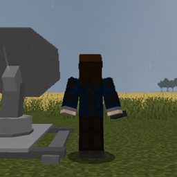 R1's radar and camera additions for ProtoManly's Weather