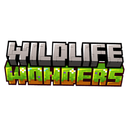 Wild & Wonders project image