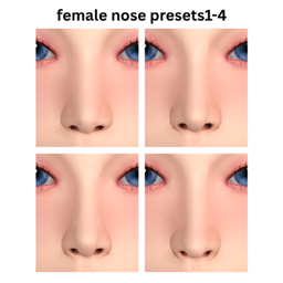 female nose presets1-4 project image