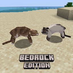 Cat Fighting - Bedrock Edition logo