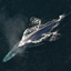 Blue whale pack logo