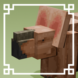 PACHYRHINAGER project image