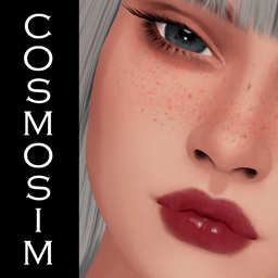 Stellar Palette Lipstick N15 project image