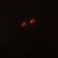 The Boiled One PTBR logo
