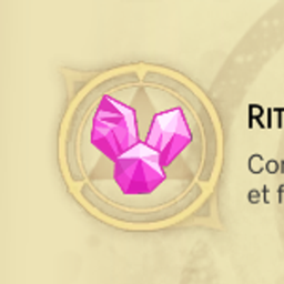 Conversion Ritual Spell - Traduction FR project image
