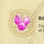 Conversion Ritual Spell - Traduction FR logo