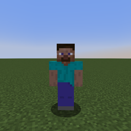 Human Mob