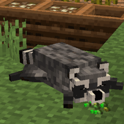 Animal Garden - Common Raccoon project image
