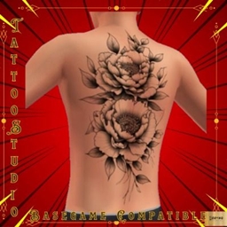 Robynq Tattoo LTD8001 - Basegame compatible project image