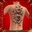 Robynq Tattoo LTD8001 - Basegame compatible logo