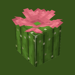 Cactus Universe logo