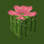 Cactus Universe logo