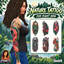 Nature tattoo right arm by Pyanett logo