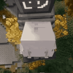 WT-teleport project image
