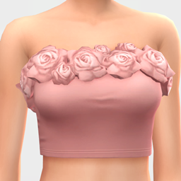 Sabrina Top project image
