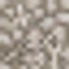 Vanilla Boom Plus logo