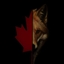 Nations & Factions logo
