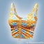 Ruched drawstring crop top logo