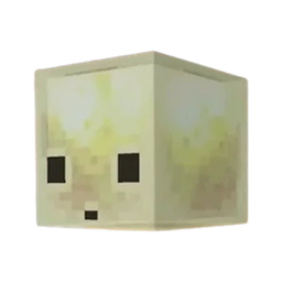chau bloque